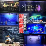 【DX精選】客製化 魚缸背景圖 高清圖3D立體壁畫水族箱造景圖貼紙壁紙5D裝飾底板 魚缸背景 魚缸貼紙 魚缸壁紙