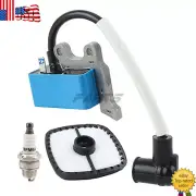 For Echo SRM-225 PAS-225 A411001690 Ignition Coil Set