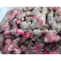 在飛比找蝦皮購物優惠-LENTO SHOP - 新鮮現採  紅南薑 南薑 Gala