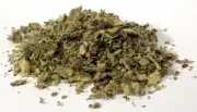 Mullein Leaf cut (Verbascum Thapsus)