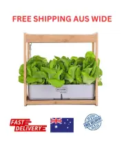 PLANTCRAFT 12 Pod Indoor Hydroponic Growing System with Bamboo Frame & LED Light