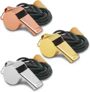 3 Pack Stainless Steel Whistle, Whistles Sports with Lanyard Loud Crsip Sound R