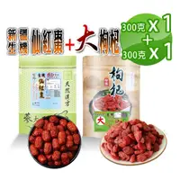 在飛比找momo購物網優惠-【蔘大王】生機仙紅棗（300gX1）+大粒枸杞子（300gX