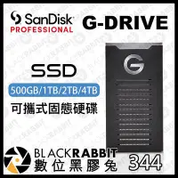 在飛比找Yahoo!奇摩拍賣優惠-數位黑膠兔【 SanDisk Professional G-