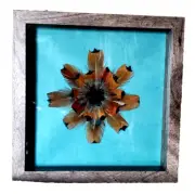 Teal Blue Pheasant Feather Picture Wall Art Mandala 8x8 Bird Outdoors Wildlife