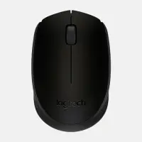 在飛比找momo購物網優惠-【Logitech 羅技】羅技無線滑鼠(B170)