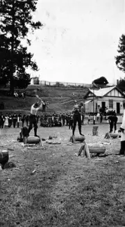 Competitors wood chop competition Geelong District Victoria 1925 OLD PHOTO