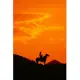 2020 Daily Planner Horse Photo Equine Sunset Cowboy Silhouette 388 Pages: 2020 Planners Calendars Organizers Datebooks Appointment Books Agendas