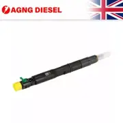 Delphi Diesel Injector 28317158 For Telescopic Handler 4.4 2012- 320X06881