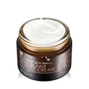 MIZON - Snail Repair Perfect Cream 50ml
