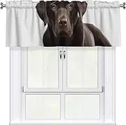 LHBWCVN Dog Valances for Windows, Rod Pocket Window Treatment Drapes Farmhouse Kitchen Curtains Short Blackout Window Curtains for Living Room Bedroom Decor 54x18 Inch