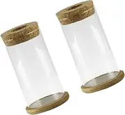 BESPORTBLE 2 Sets Transparent Glass Succulent Vases Elegant Flower Holders for Hydroponics Wedding Centerpieces Home Decor Base for Floral Arrangements
