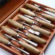 12 Pcs Wood Carving Hand Chisel Tool Set Woodworking Professional Gouges SET