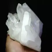 3.03b Natural Clear Quartz Crystal Cluster Point Wand Healing Mineral Specimen
