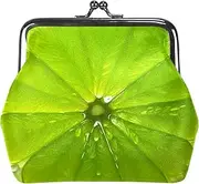 [CWAGFEQZ] Wallet Women,Coin Purse,Coin Pouch,Small Coin Purse,Lemon Green Fruit