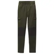prAna Stretch Zion Skinny Regular Inseam Women's Hiking Pants, Spruce Block, Lar