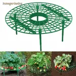 GARDEN PLANTING RACK STRAWBERRY STAND PLANT CLIMBING PROPS F