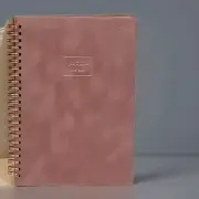 Poppin Velvet Medium Spiral Pocket Notebook Dusty Rose New