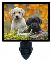 Dog Decorative Photo Night Light, Yellow and Black Labs, Labrador Retriever