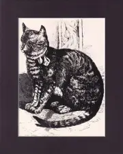 8X10" Matted Print Kitten Cat Art Picture: The New Collar, Engraving