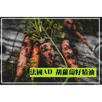 在飛比找蝦皮購物優惠-【露西皂材】法國AD 胡蘿蔔籽精油 (Carrot seed