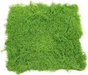 SUPVOX Artificial Moss Mat Light Green 50x50cm Simulation Moss Pad for Outdoor Landscaping, Window Display, Miniature Garden Decor