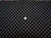 Golf Hockey Backstop Barrier Nylon Sport Netting 5/8" Mesh 30' x 9'