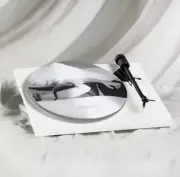 Taylor Swift TTPD Turntable Slipmat for Vinyl Records