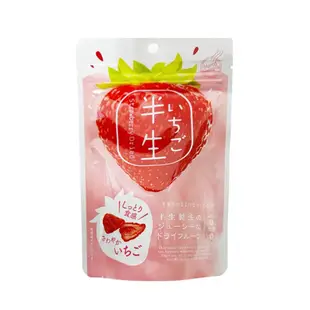 現貨-日本半生果乾 水果乾 草莓 橘子 水蜜桃 蜂蜜水梨 水蜜桃巧克力 日本零食