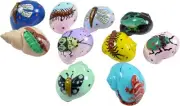 10 Creature Designs Hermit Crab Shells 1-2.25" (Set of 10)