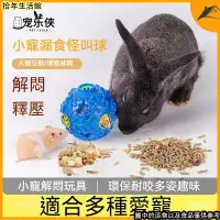 在飛比找蝦皮購物優惠-怪叫球 漏食球 發聲玩具 漏食玩具 狗狗玩具 寵物益智玩具 