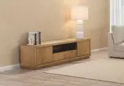 THORIN Entertainment Unit
