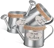 Vaguelly 3pcs Vase for Flowers Rustic Iron Flower Holder for Home Garden Decor Decorative Watering Can for Floral Arrangements Vintage Style Table Centerpiece