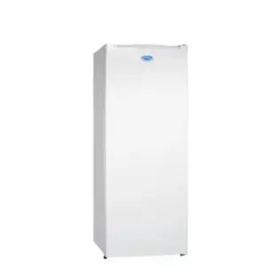 【TECO 東元】180公升單門直立式冷凍櫃RL180SW