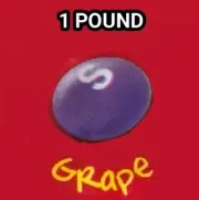 Skittles Grape (Purple) Only 16 oz 1 Lb Candy One Single Color Flavor