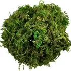 Artificial Moss For Potted Plant Orchid Potting Mix Peat - Home And Garden Decor