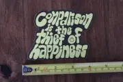 SUN BUM Skin Care STICKER Decal COMPARISON IS THE THIEF OF HAPPINESS New