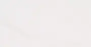 MSI T1224P 12" x 24" Rectangle Floor and Wall Tile - Polished - Bianco Dolomite