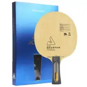 JOOLA TEZZO PALADIN Ping Pong Table Tennis Blade Racket 7-Ply All Wood