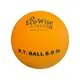 美國【EcoWise】重力球 藥球 物理治療球 6磅 3kg 專利NEUWA材質 不含乳膠無毒柔軟防滑材質 台灣製造