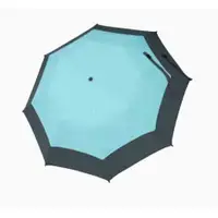 在飛比找蝦皮購物優惠-嘉雲製傘JIAYUN 21吋碳纖抗風折疊傘(二折傘) 湖水藍