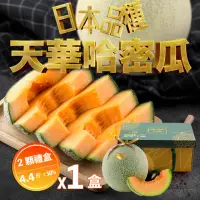 在飛比找momo購物網優惠-【果樹寶石】天華網紋哈密瓜兩顆禮盒x1盒（4-4.4斤/盒）