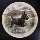 Royal Doulton Scottish Terrier Scotty Dog 10.5" Plate D6304 England MINT