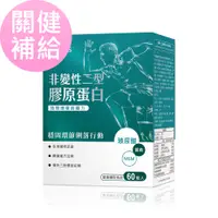 在飛比找PChome24h購物優惠-BHKs 非變性二型膠原蛋白 膠囊 (60粒/盒)