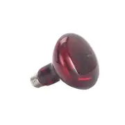 Infrared Bulb Red Heat Lamp Bulb 100W Outdoor Reflector Basking Light Bulb for