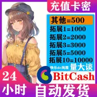 在飛比找露天拍賣優惠-【熱賣】日本bitcash 500 1000 2000 30