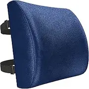 FORTEM Lumbar Support Office Chair, Lumbar Support Pillow for Car, Office Chair Back Support, Lumbar Pillow for Desk Chair, Memory Foam Back Cushion, Washable Cover (Velour, Blue)