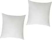 TOPPERFUN 2pcs Comfortable Pillow Lining for Sofa Decor Fluffy Throw Pillow Inserts Square Interior 50cmx50cm