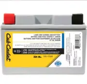 Cub CADET 12-Volt 11 ah 210 cca RIDER ZERO TURN MOWER BATTERY AGM Brand New