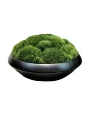 [Vicky Yao] Artificial Moss Bowl Bonsai Arrangement
